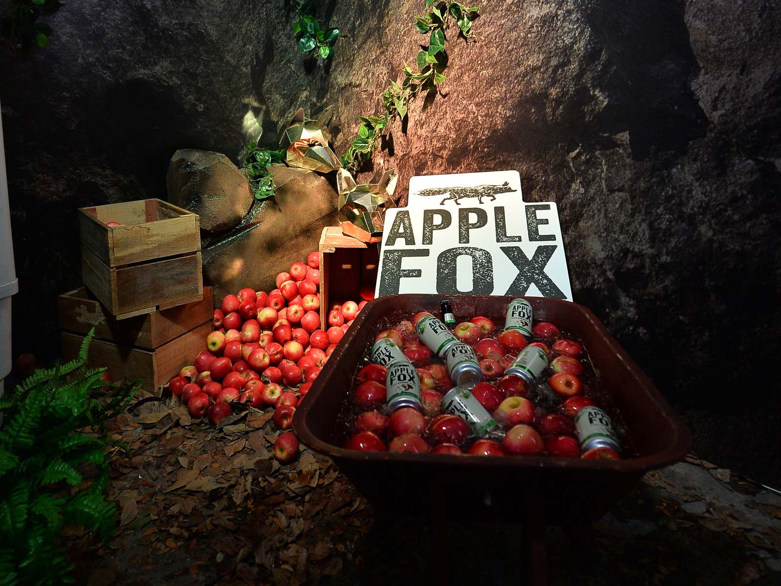 Image result for apple fox cider