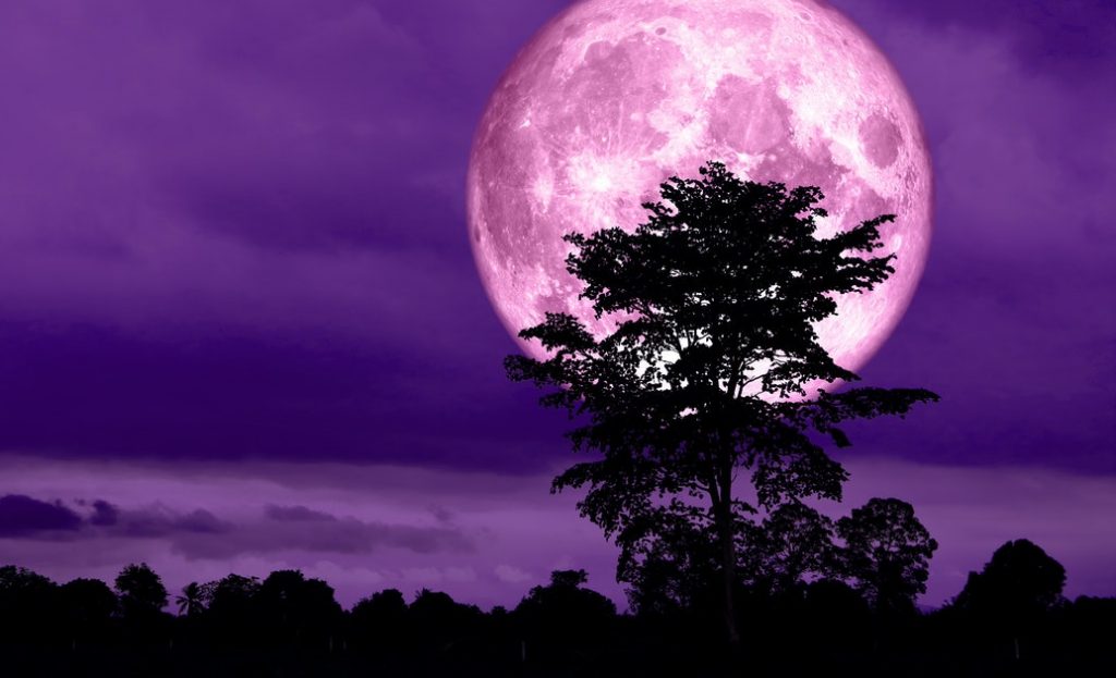 Witness the \'Super Pink Moon\' in Malaysia This Week