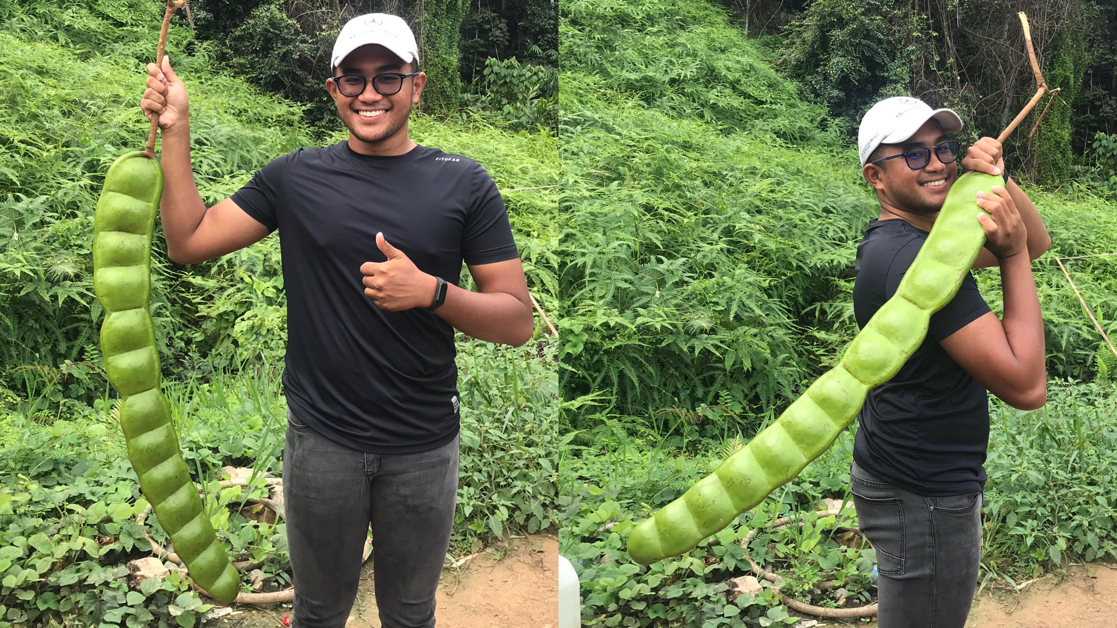 M\&#39;sian Discovers a Giant Petai in the Jungle... Netizens Warn Him About  Eating It