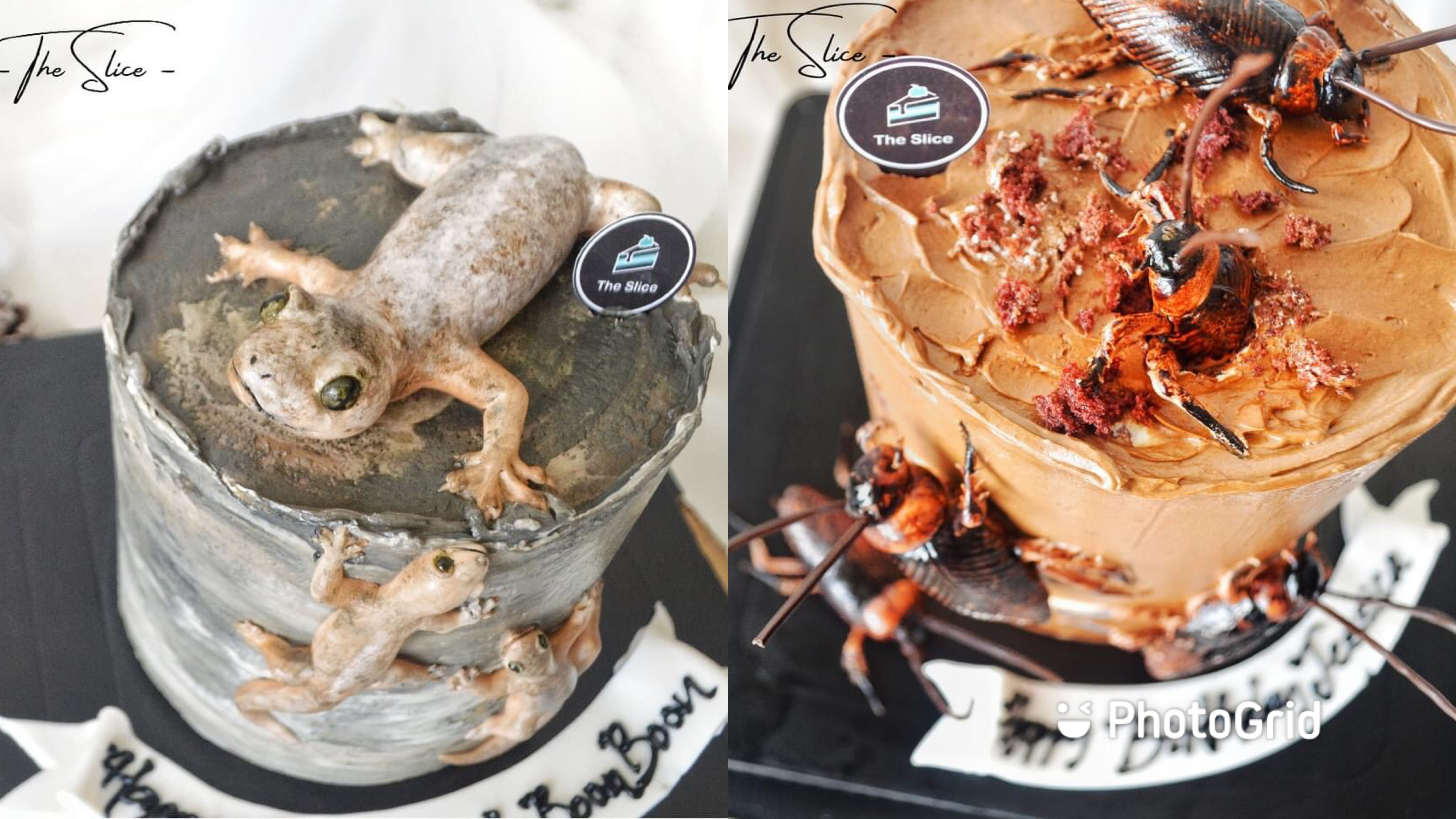 Home baker in Ipoh selling cakes with super-realistic, edible lizards &  cockroaches - Mothership.SG - News from Singapore, Asia and around the world