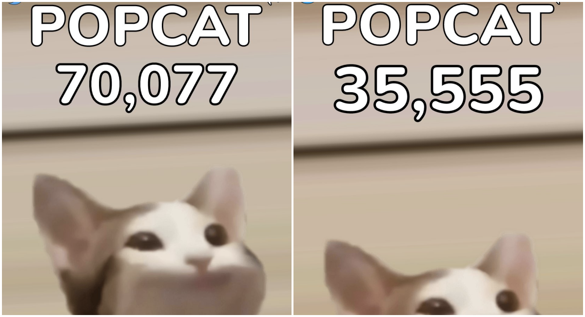 Script popcat Pog Cat