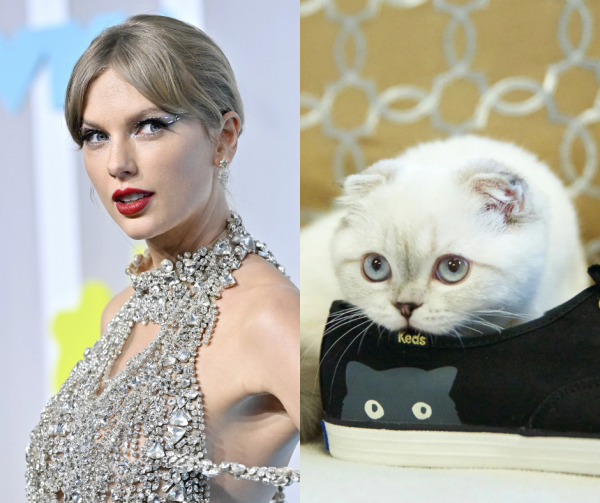 Taylor Swift’s Cat Is Crowned World’s Third-Richest Pet With A Total ...