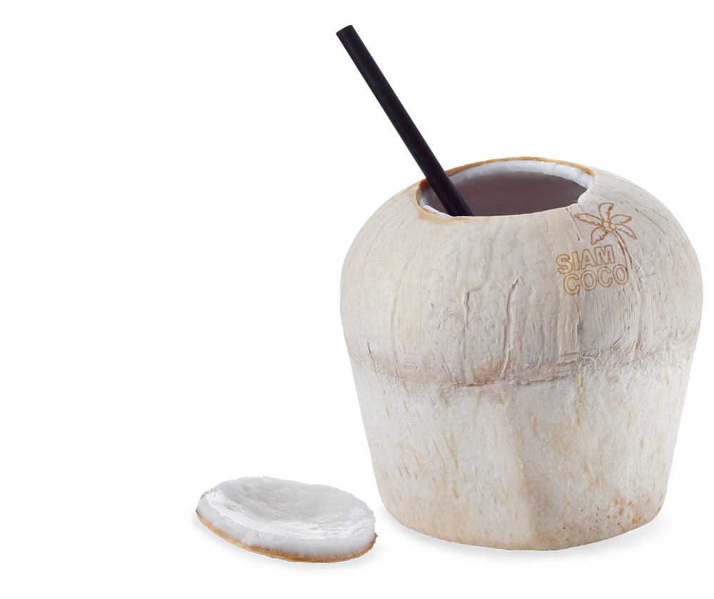 coconut-large