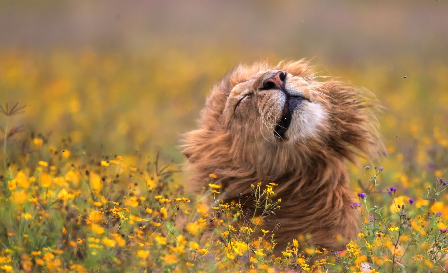 This Series of Nature Photography Will Leave You in Awe