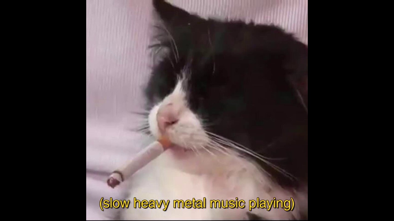 metal music memes